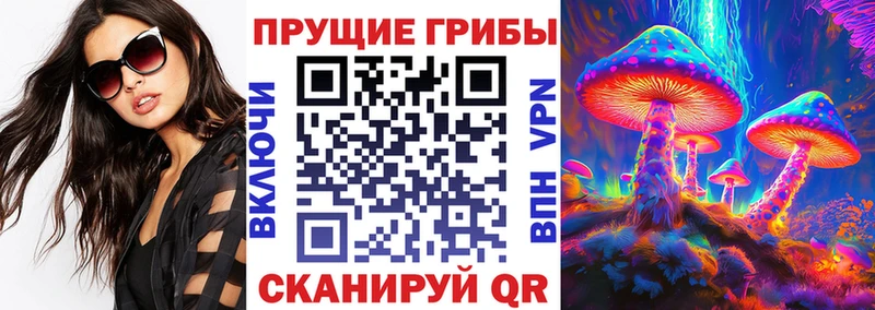 Галлюциногенные грибы мицелий  наркота  Гдов 